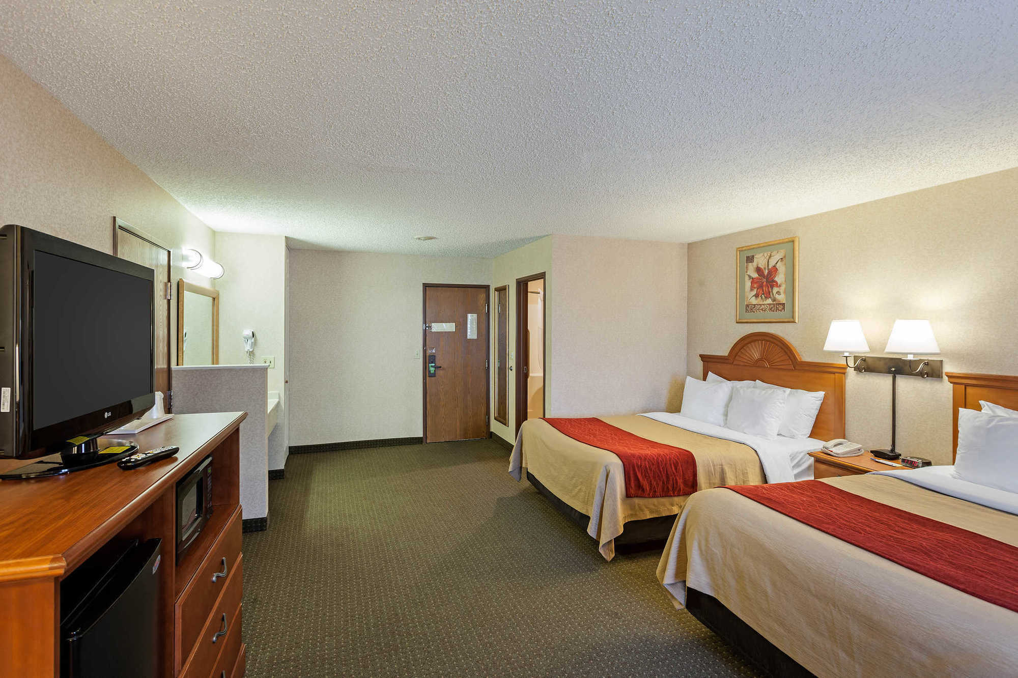 Comfort Inn Lexington Room photo